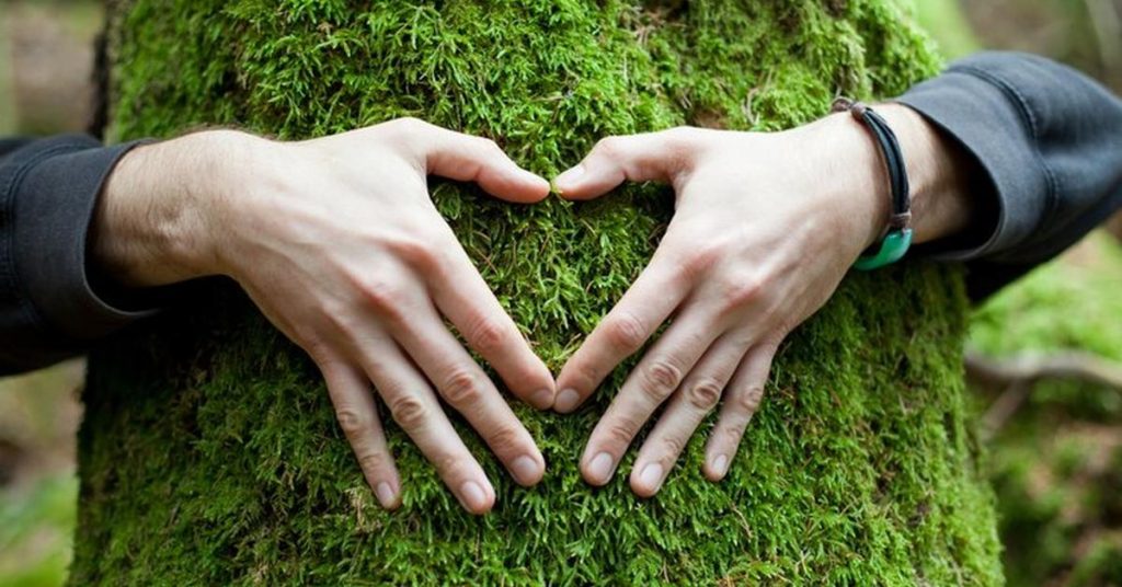 cuidado ambiental