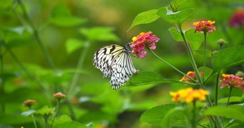 Experiencias únicas en la naturaleza